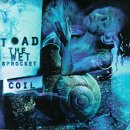Discover More About 'Coil'