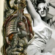 desamor